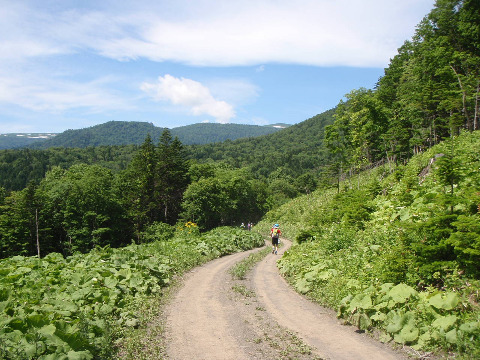 大雪山ウルトラトレイル110km　1日目