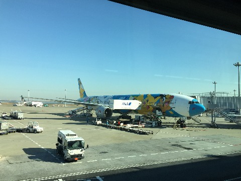 福岡から羽田へ ✈