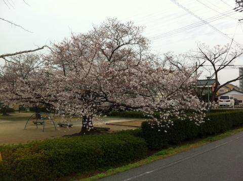 つなぎJOG4km(^◇^)