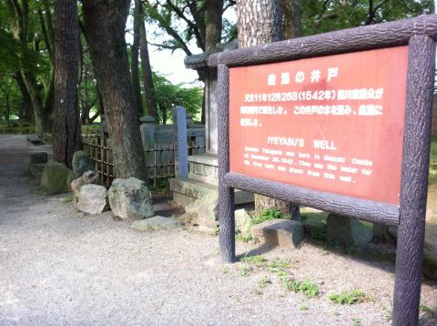 再発後~ウォーキング4日目