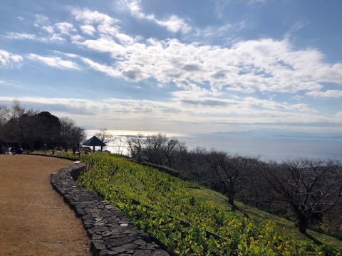 湘南の穴場　吾妻山公園