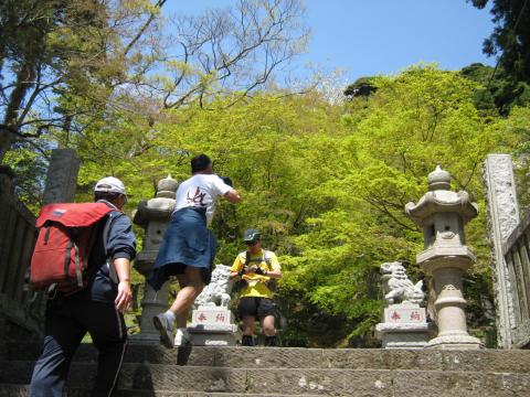 半僧坊のもみじ、紅葉だけでなく新緑も美しい!