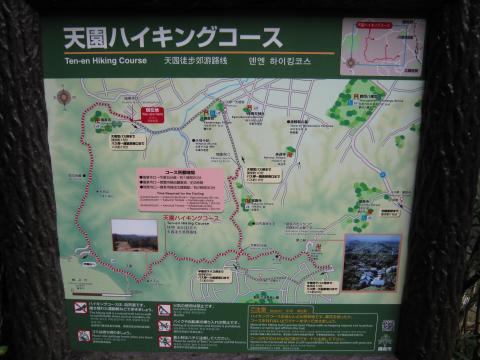お決まりの天園 ハイキングコース
しかし、雨足が強くなってきた・・・。