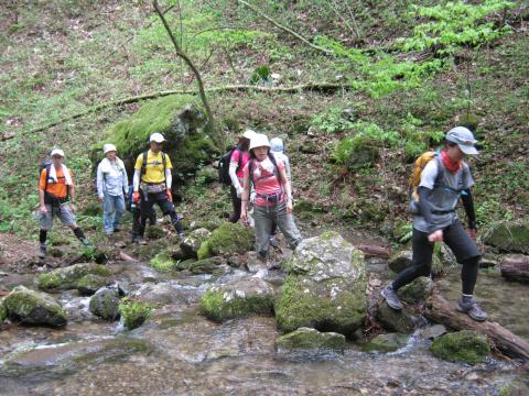 先日の大雨で沢の水量が多く至るところで足止めおっかなびっくり沢を渡る。