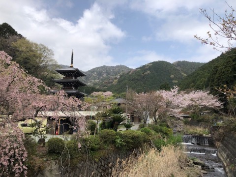 伊勢原 日向地区の里山風景