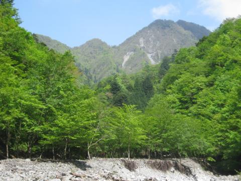 来し方を振り返る新緑が本当に鮮やか