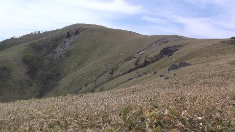 今日最後のピーク 三峯山 吹く風が心地よい。日曜日だというのに静寂のトレイル