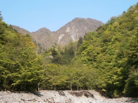 無事ゴーラ沢 出会いに到着 緑がまぶしい