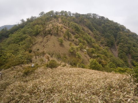 丹沢山に向かう途中 ガスが晴れる