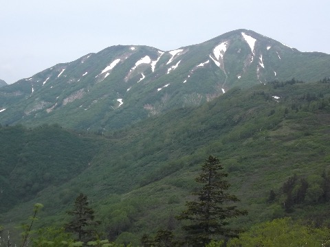 標高2100m付近 火打山が