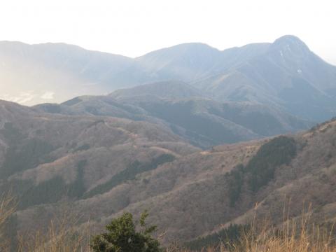 金時山につながるトレイル、まだ先は長い。次回はチャレンジしよう!