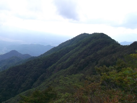 扚子山 大分近づいてきた
