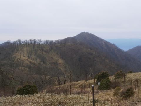 丹沢山を越え、塔ノ岳 だいぶ近くなってきた。苦しい~!