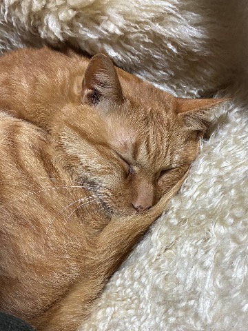 幸せ〜