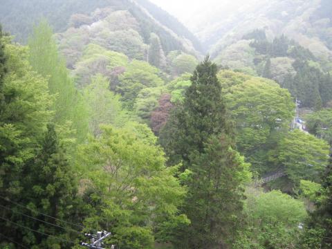 中川温泉の新緑武田信玄の隠し湯という由来のある温泉紅葉の時期も素晴らしいところ表丹沢に比べ、入る人も少なく穴場的存在の場所である。