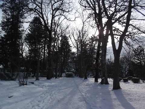 盛岡城址公園