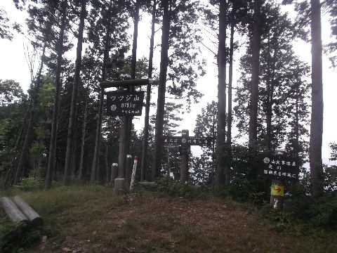 つつじ山　２０キロ地点　なぜかとても長く感じられる