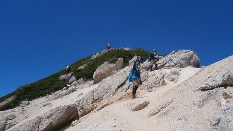 山頂まであと一息!