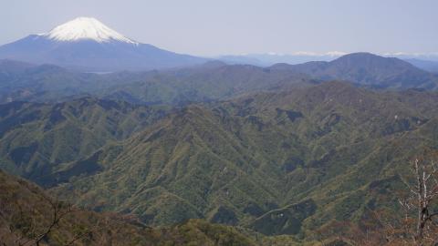 檜洞丸 山頂手前より 奥には南アルプスの峰々が