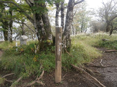 16時30分 最後の標高差300mのゲキ坂を登り檜洞丸到着 あとは標高差1000mの急降下