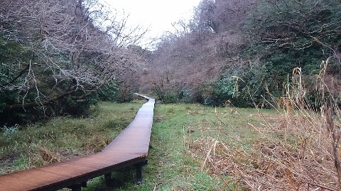 木道まである。湿地帯には多くの生き物が生息しているという