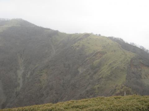 丹沢山（1567m）を超え、遥かに行く先を望むあれ登るの～！