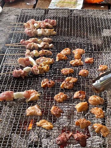 厚木名物 シロコロホルモン