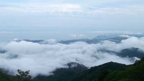西伊豆方面の雲海 梅雨時ならでは光景