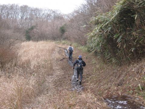 こら～！俺に断りもなしに　後を追いかける気まぐれさん