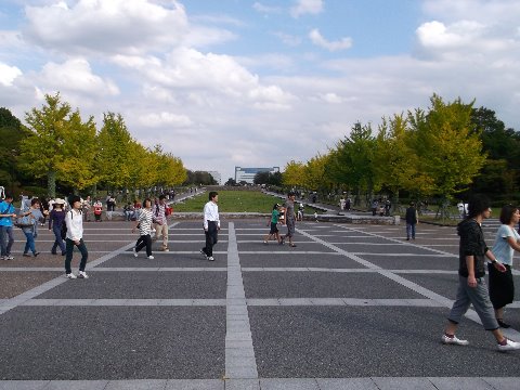 立川の昭和記念公園 今日は1周しかできなかったが 今度じっくりと走ってみたい