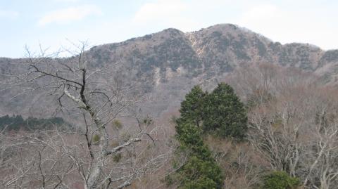 金時神社からの金時山標高差は500mくらい