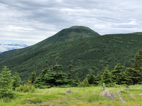 下山途中 双子山からの蓼科山