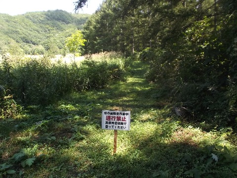 武尊山への登り返し 後6キロの地点で 通行止め きた道を8キロほど引き返し別ルートで登ることに