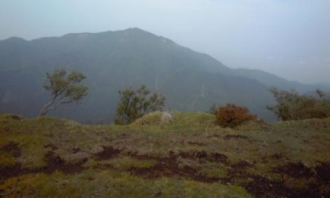 三ノ塔からこれから向かう大山いったん７５０mのヤビツ峠まで降りそこから一気に標高差５００mを登る