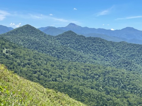 美しい樹海 バックの山は日光白根山