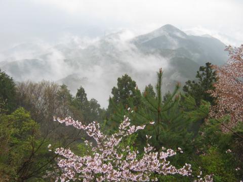諦めて下山しようとしたら東側の展望が突然開ける平凡な山波もこのようにガスがまとわりつくことでまるで墨絵を思わせるような美しさに変容する雨もまた佳しである（雨男の言い訳）
