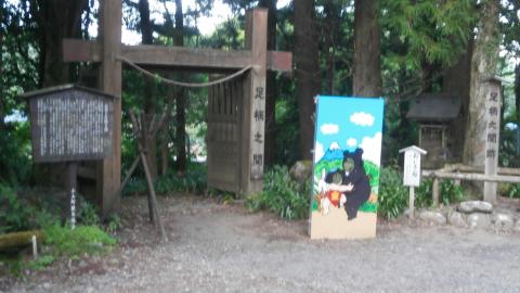 金時山から足柄峠下山このあと大雄山駅までの１２キロ峠走の急降下　足が持つかどうか・・