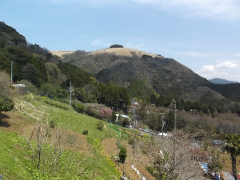 一旦山北に降りて 奥武山まで標高差600mを登り返す。あまりの高みにがっくりとしてしまう