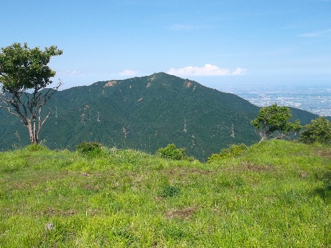 三の塔から大山。ここから標高700mのヤビツ峠におりてイタツミ尾根を標高差500mを登り返す