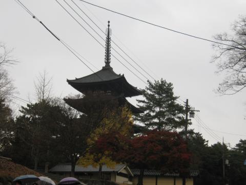 興福寺　五重塔まだ、紅葉がきれいだ