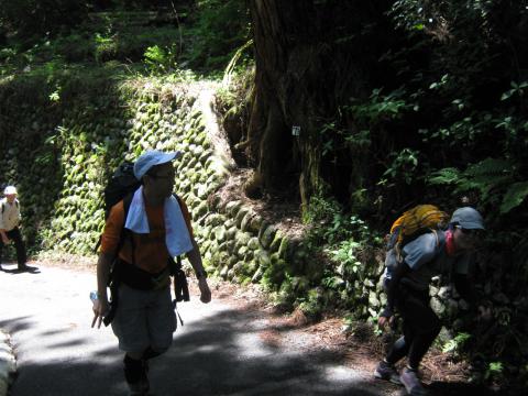 ケーブルを横目で見ながら標高差５００m以上の登り。
