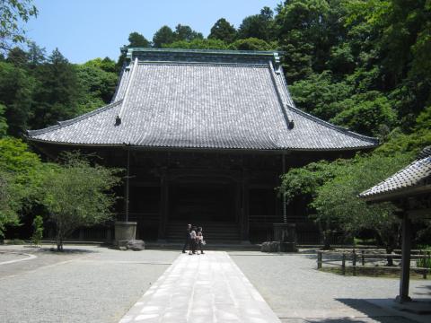妙本寺　鎌倉駅からわずかな距離の場所なのに静寂の極みここの海棠や紅葉は素晴らしい鎌倉で一番お気に入りの場所