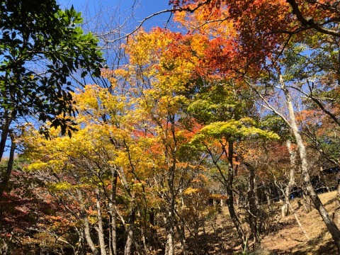 標高800m付近