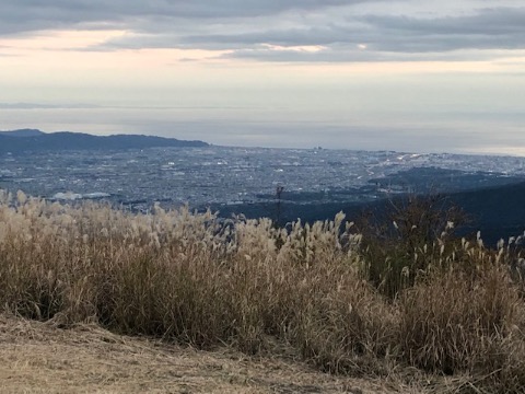 相模湾