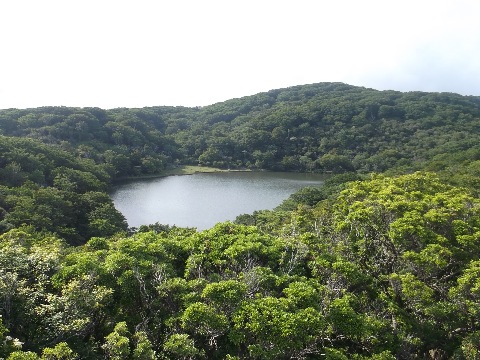 天城峠から1時間少々で登りきったところから八丁池を俯瞰する