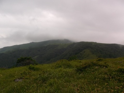 最後の殿城山への急登を経て74キロ地点の霧ヶ峰の稜線に飛び出す。