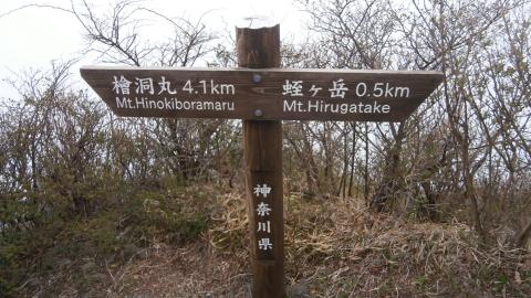 あと、500m~!