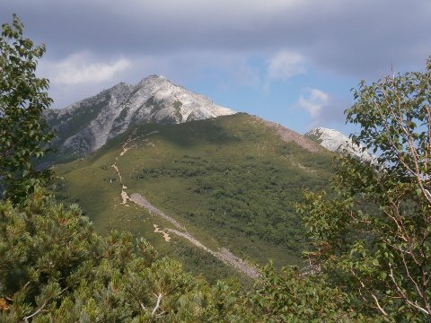 双子山からまた5日後に来るからね~