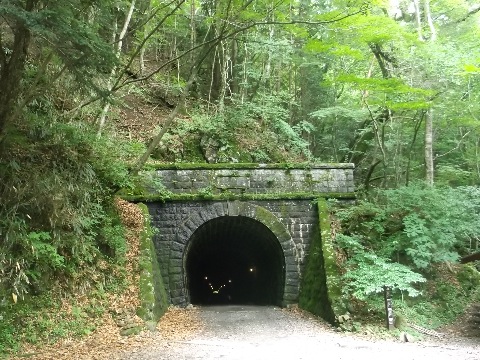 八丁の池を通り、一気に天城トンネルまで駆け下りる。ちょうど16キロ地点。 これから再び標高差700m 天城山を登り返す。