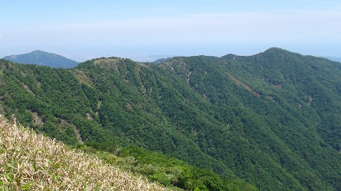 塔の岳へ続く稜線 お国はこれから向かう大山・・遠いな〜